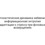 Стохастическая динамика забвения: информационная энтропия адаптации к стрессу при фоновых возмущениях